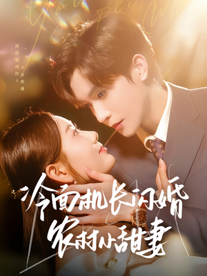 冷面机长闪婚农村小甜妻(73集) 冷面机长闪婚农村小甜妻(73集)全集免费观看