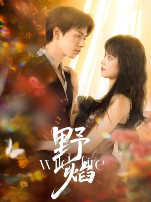 野焰（60集）好看的短剧推荐