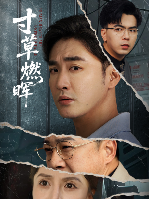 寸草燃晖(70集) 寸草燃晖(70集)夸克在线观看