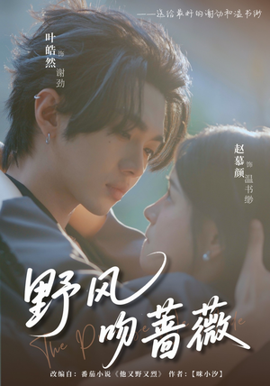 野风吻蔷薇(78集) 野风吻蔷薇(78集)第一集