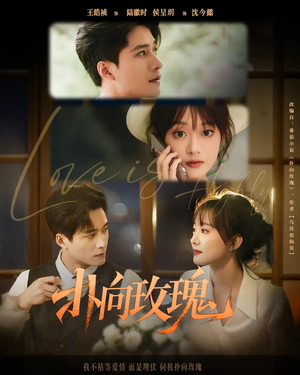 扑向玫瑰(77集) 扑向玫瑰(77集)免费短剧推荐