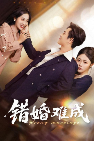 错婚难成（45集）今日短剧分享