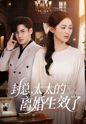 封总，太太的离婚生效了（82集）一口气看完