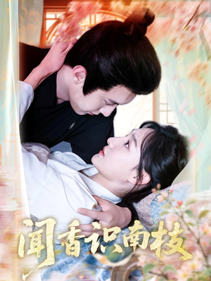 闻香识南枝（60集）短剧推荐上热门