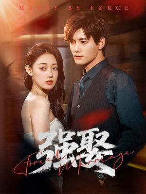 强娶(80集) 强娶(80集)全集下载