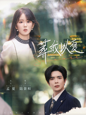 葬我以夏（73集）好看的短剧电影