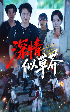 深情似草芥（51集）精彩短剧热播