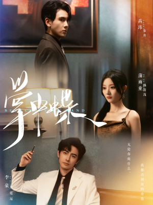 掌中蝶(84集) 掌中蝶(84集)短剧中追到爽