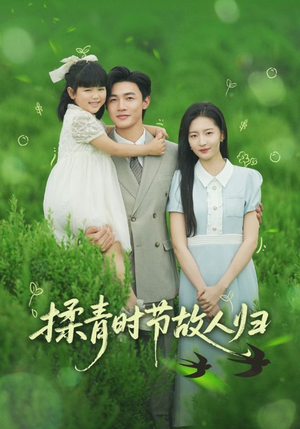 揉青时节故人归(60集) 揉青时节故人归(60集)在线看到大结局