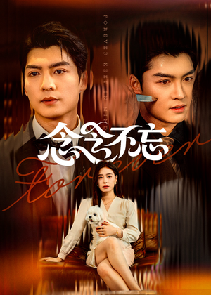 念念不忘（73集）看精彩短剧