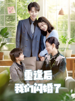 重逢后我们闪婚了(35集) 重逢后我们闪婚了(35集)热播短剧全集看
