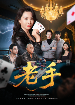 老手(36集) 老手(36集)短剧小说在线看