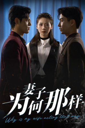 妻子为何那样（60集）短剧抢先看全集