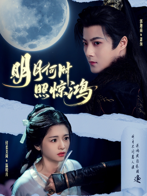 明月何时照惊鸿(80集) 明月何时照惊鸿(80集)高清画质免费看