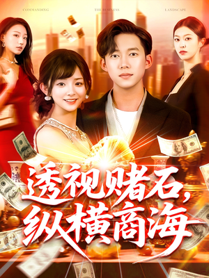 透视赌石，纵横商海（80集）高分推荐免费看