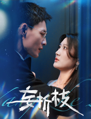 妄折枝（53集）口碑之选免费看