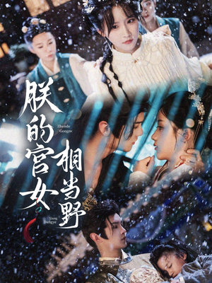 朕的宫女相当野（62集）不用花钱看全剧