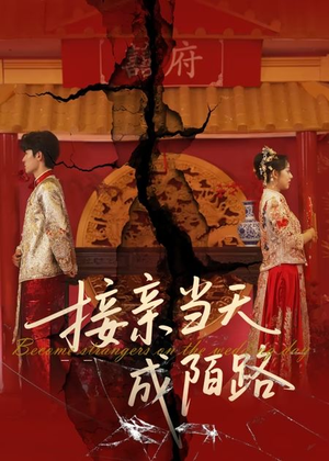 接亲当天成陌路(50集) 接亲当天成陌路(50集)短剧解说热门
