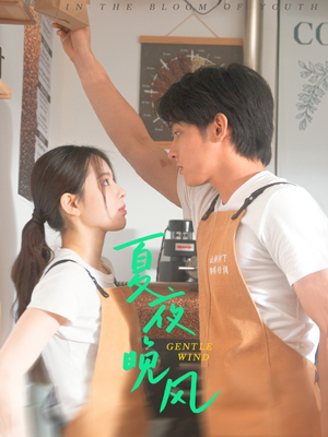 夏夜晚风(12集) 夏夜晚风(12集)免费在线看全集