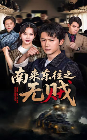南来东往之无贼（51集）热播短剧推荐