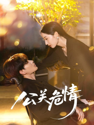 公关危情（60集）最火短剧热播中