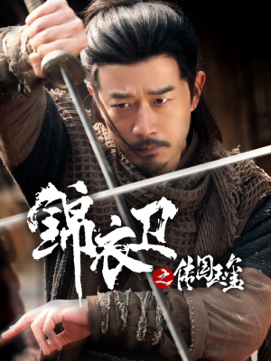 锦衣卫之传国玉玺（60集）最新热剧免费看