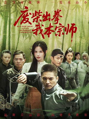 废柴出拳我本宗师（61集）甜宠短剧推荐