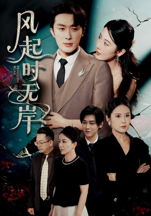 风起时无岸（58集）超好看短剧推荐