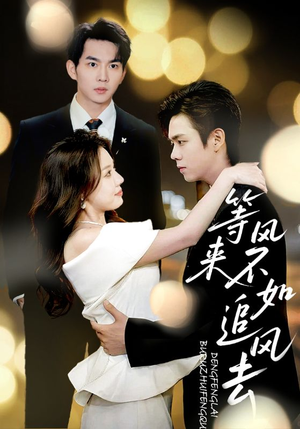 等风来不如追风去（72集）口碑之选免费看