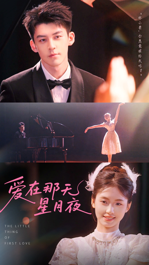 爱在那天星月夜（46集）女主谁演的