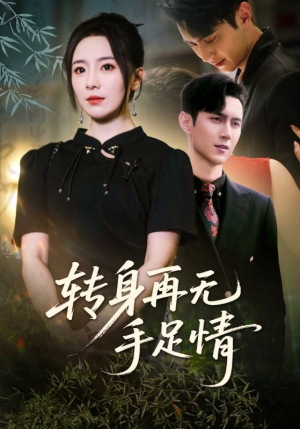 转身再无手足情（71集）热播短剧免费看