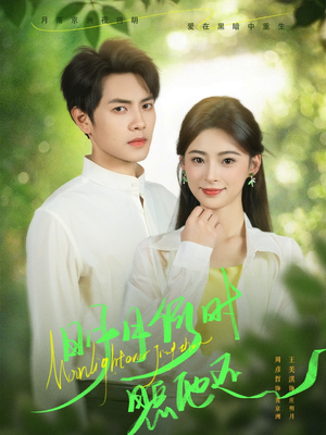 明月何时照他还(73集) 明月何时照他还(73集)评价怎么样