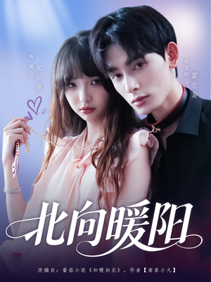 北向暖阳(80集) 北向暖阳(80集)短剧太上头了