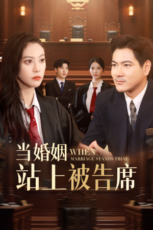 当婚姻站上被告席(30集) 当婚姻站上被告席(30集)古装短剧推荐
