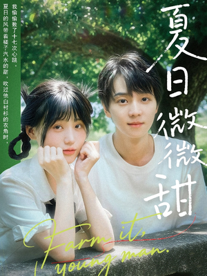 夏日微微甜(79集) 夏日微微甜(79集)大结局一气呵成