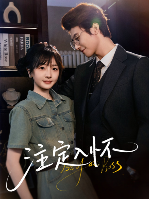 注定入怀（70集）好看的短剧
