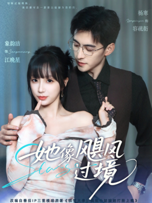 她像飓风过境(81集) 她像飓风过境(81集)短剧