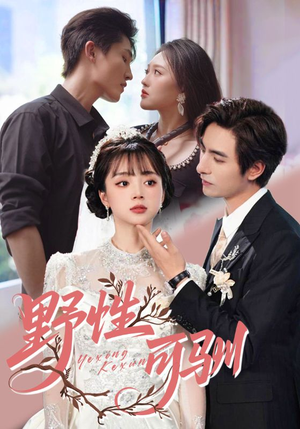 野性可驯（63集）无需会员轻松看