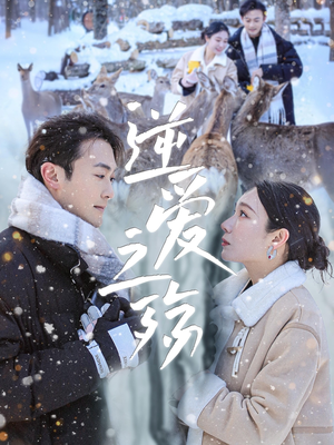 逆爱之殇（60集）最后的大结局