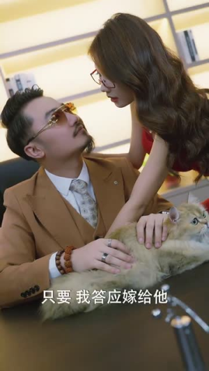 采花 (53集)  采花 (53集) 在哪个平台能看