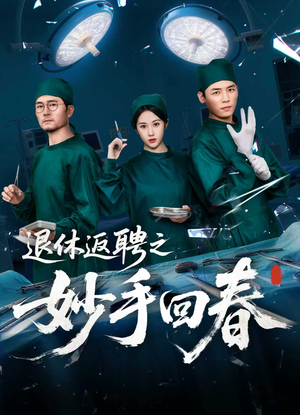 退休返聘之妙手回春(60集) 退休返聘之妙手回春(60集)一口气追完全集