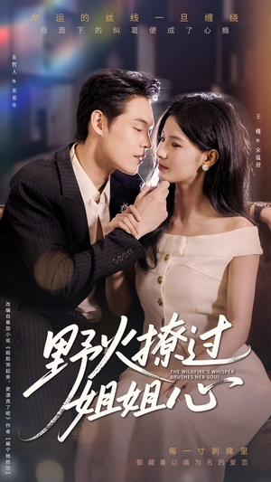 野火撩过姐姐心（97集）全集免费观看