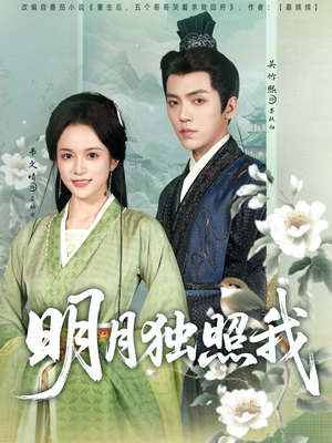 明月独照我(80集) 明月独照我(80集)小短剧抢先看