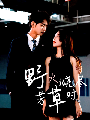 野火烧尽芳草时（65集）无需会员免费看