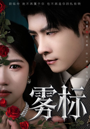 雾标(70集) 雾标(70集)全集在线看