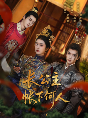 长公主帐下何人(81集) 长公主帐下何人(81集)演员表