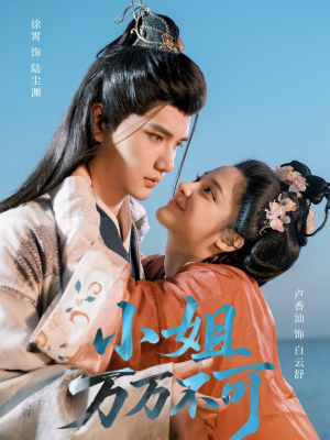 小姐万万不可(74集) 小姐万万不可(74集)热播短剧全集看