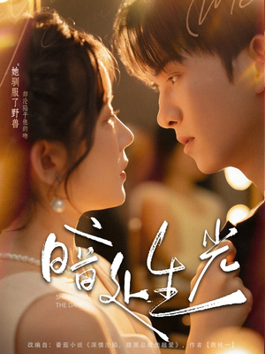 暗处生光(82集) 暗处生光(82集)一口气看完全集