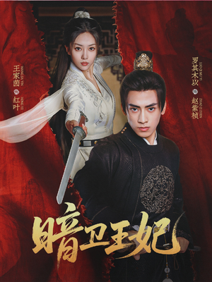 暗卫王妃(60集) 暗卫王妃(60集)免费看短剧全集