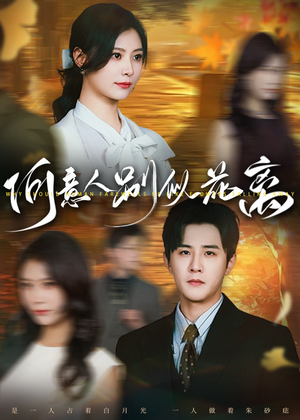 何意人别似花离（61集）短剧热播推荐